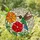 Ruby-throated Hummingbird Red Flower Orange Floral Green Leaves Mosaic Tiffany Style Art Stained Glass Suncatcher - 2