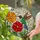 Ruby-throated Hummingbird Red Flower Orange Floral Green Leaves Mosaic Tiffany Style Art Stained Glass Suncatcher - 1