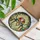 Macaw Parrots Tiffany Stained Glass Flowers - Jewel Tone Colorful Birds Art Decor Stained Glass Suncatcher - 3