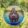 Intricate Colorful Glowing Tiffany Stained Glass Hippopotamus Family River Wildlife Art Stained Glass Suncatcher - 2