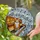 Orange Tabby Cat Piano Keys Musical Notes Stained Glass Mosaic - Tiffany Style Panel Stained Glass Suncatcher - 1