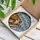 Orange Tabby Cat Piano Keys Musical Notes Stained Glass Mosaic - Tiffany Style Panel Stained Glass Suncatcher - 3