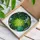 Monstera Leaf Tiffany Style Stained Glass Mosaic - Glowing Jewel Tone Botanical Decor Stained Glass Suncatcher - 3