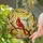 Red Cardinal Hummingbird Tiffany Glass Mosaic Flowers - Sun-Drenched Nature Lover Decor Stained Glass Suncatcher - 1