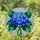 Blue Hydrangea Tiffany Stained Glass Emerald Green Leaves Sapphire Mosaic Home Decor Stained Glass Suncatcher - 2