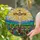 Jesus Christ Crucified Stained Glass Sunburst Wildflowers Faith-Inspired Home Decor Stained Glass Suncatcher - 1