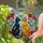Black Cat Orange Cat Butterfly Tiffany Stained Glass Floral Vines Sky Mosaic Art Stained Glass Suncatcher - 1