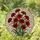 Red Carnation Bouquet Stained Glass Mosaic Art - Tiffany Style Translucent Floral Home Decor Stained Glass Suncatcher - 2