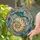 Nautilus Conch Shells Tiffany Stained Glass Look - Detailed Ocean Currents Aquatic Foliage Art Stained Glass Suncatcher - 1