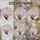Cherry Blossom Tree Stained Glass - Tiffany Style Pink Flower Nature Art Home Decor Gift Stained Glass Suncatcher - 4