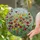 Jewel Tone Wildflower Meadow Stained Glass Art - Tiffany Style Floral Mosaic Window Panel Stained Glass Suncatcher - 1