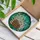 Antique Books White Daisies Floral Emerald Turquoise Tiffany Glass Mosaic Artwork Stained Glass Suncatcher - 3