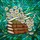 Antique Books White Daisies Floral Emerald Turquoise Tiffany Glass Mosaic Artwork Stained Glass Suncatcher - 5