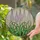 Stained Glass Flowering Stalks Pink Purple White Blossoms Green Leaves Mosaic Window Decor Stained Glass Suncatcher - 1