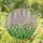 Stained Glass Flowering Stalks Pink Purple White Blossoms Green Leaves Mosaic Window Decor Stained Glass Suncatcher - 2