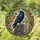 Black Raven Iridescent Stained Glass Art, Vintage Books, Tiffany Style Nature Mosaic Stained Glass Suncatcher - 2