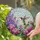 Ruby-Throated Hummingbird Pink Hydrangea Purple Lilac Tiffany Stained Glass Mosaic Panel Stained Glass Suncatcher - 1