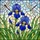 Blooming Blue Irises Dragonflies Tiffany Stained Glass Mosaic Art Intricate Patterns Stained Glass Suncatcher - 5