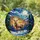 Majestic Stag Golden Antlers Winter Forest Full Moon Night Stained Glass Art Stained Glass Suncatcher - 2