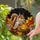 Squirrel Jack-o'-Lantern Pumpkin Autumn Forest Stained Glass Art - Halloween Fall Decor Gift Stained Glass Suncatcher - 1