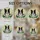 Cheerful Border Collie Dog Stained Glass Daisy Radiant Geometric Sunlight Art Stained Glass Suncatcher - 4