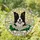 Cheerful Border Collie Dog Stained Glass Daisy Radiant Geometric Sunlight Art Stained Glass Suncatcher - 2
