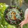 Baby Dragon Tiffany Stained Glass with Gnarled Branch, Roses & Verdant Forest Art Stained Glass Suncatcher - 1