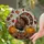 Stained Glass Turkey Autumn Leaves Pumpkin Tiffany Art - Thanksgiving Fall Decor Stained Glass Suncatcher - 1