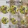 Raccoon Sunflower Stained Glass Art - Tiffany Style Jewel Tone Natural Mosaic Design Stained Glass Suncatcher - 4