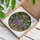 Cascading Wisteria Purple Flowers Stained Glass - Tiffany Style Home Decor Gift Stained Glass Suncatcher - 3