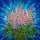 Vibrant Blooming Lupine Flowers Stained Glass Mosaic Art - Tiffany Style Home Decor Stained Glass Suncatcher - 5