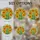 Orange Yellow Marigold Flowers Stained Glass - Tiffany Style Green Floral Mosaic Art Stained Glass Suncatcher - 4