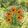 Orange Yellow Marigold Flowers Stained Glass - Tiffany Style Green Floral Mosaic Art Stained Glass Suncatcher - 2