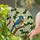 Bluebird Stained Glass Tree Branch Tiffany Style Flowers Mosaic Jewel Tones Decor Stained Glass Suncatcher - 1