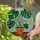 Monstera Deliciosa Plant - Tiffany Style Stained Glass Art with Terracotta Pot, Mosaic Background Stained Glass Suncatcher - 1