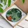 Monstera Deliciosa Plant - Tiffany Style Stained Glass Art with Terracotta Pot, Mosaic Background Stained Glass Suncatcher - 3