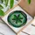 Tiffany Style Stained Glass Shamrock Heart Leaves Mosaic Tessellated Green Pattern Stained Glass Suncatcher - 3