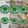 Tiffany Style Stained Glass Shamrock Heart Leaves Mosaic Tessellated Green Pattern Stained Glass Suncatcher - 4