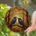 Black Ravens Stained Glass Autumn Forest Mosaic - Glowing Translucent Jewel Tones Fall Art Decor Stained Glass Suncatcher - 1