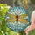 Intricate Dragonfly Stained Glass Art - Golden Yellow Wings & Jewel Tone Tiffany Mosaic Stained Glass Suncatcher - 1