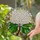Tiffany Style Stained Glass Hydrangea Florets Window Art - Floral Home Decor Gift Stained Glass Suncatcher - 1