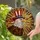 American Bald Eagle Uncle Sam Hat Patriotic Independence Day Gift for Veterans Stained Glass Suncatcher - 1