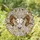 Detailed Ram Skull Stained Glass Art Mosaic - Tiffany Style Jewel Tone Intricate Pattern Stained Glass Suncatcher - 2