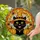 Black Cat Witch Hat Orange Pumpkins Spiderweb Tiffany Style Halloween Art Decor Stained Glass Suncatcher - 1