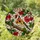 European Goldfinch Bird Stained Glass Art Mossy Branch Red Berries Window Home Decor Stained Glass Suncatcher - 2