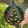 Stained Glass Christmas Tree Musical Notes Records Tiffany Style - Mosaic Holiday Decor Stained Glass Suncatcher - 1
