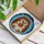 Hedgehog Holding Red Apple Tiffany Stained Glass Mosaic – Glowing Jewel Tone Window Decor Stained Glass Suncatcher - 3