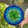 Four-Leaf Clover Heart Leaves Stained Glass Mosaic - Intricate Tiffany Green Blue Stained Glass Suncatcher - 1