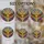 Fiery Golden Dragon Eye Stained Glass Art - Tiffany Style Jewel Tones Mosaic Scales Stained Glass Suncatcher - 4