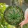 Detailed Cannabis Leaf Stained Glass Art - Tiffany Style Mosaic Green Vine Home Decor Stained Glass Suncatcher - 1